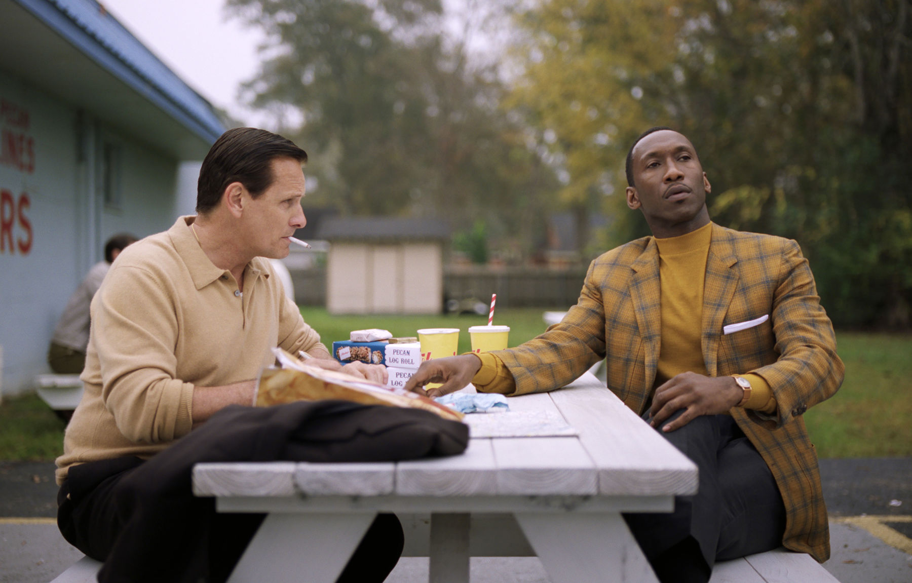 "Green Book," $42.3 million